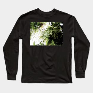 Elderflower blossom in midsummer light Long Sleeve T-Shirt